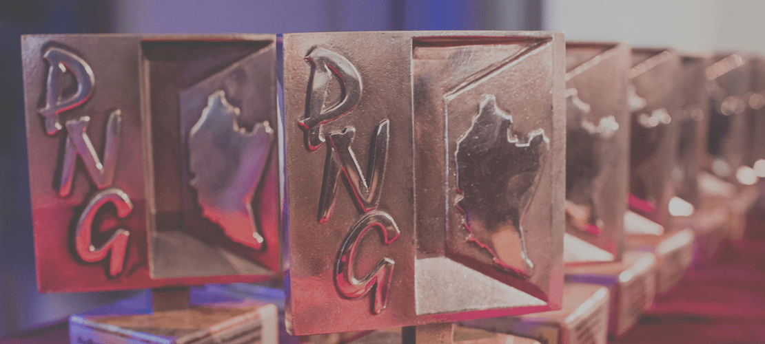 Podkarpacka Nagroda Gospodarcza